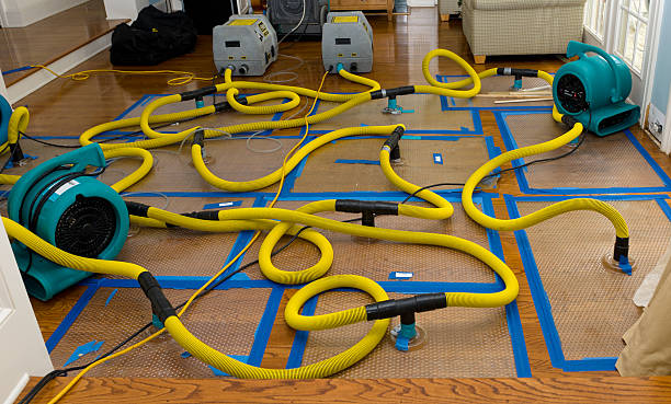 Professional Water Damage Restoration technician working in Lutz, FL